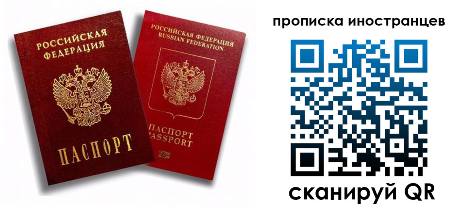 прописка паспорт в Липецке